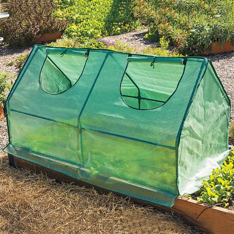 Multi Cloche Cold Frame - Weather Protection