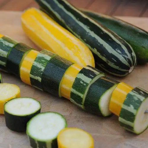 Summer Grillers Mixed Summer Squash | Seeds from Gurney's Seed ...