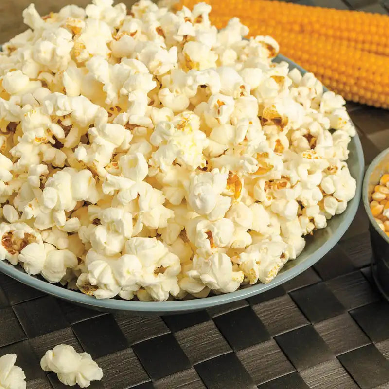 Pops the Lid Off Hybrid Popcorn | Gurney's Seed & Nursery Co.