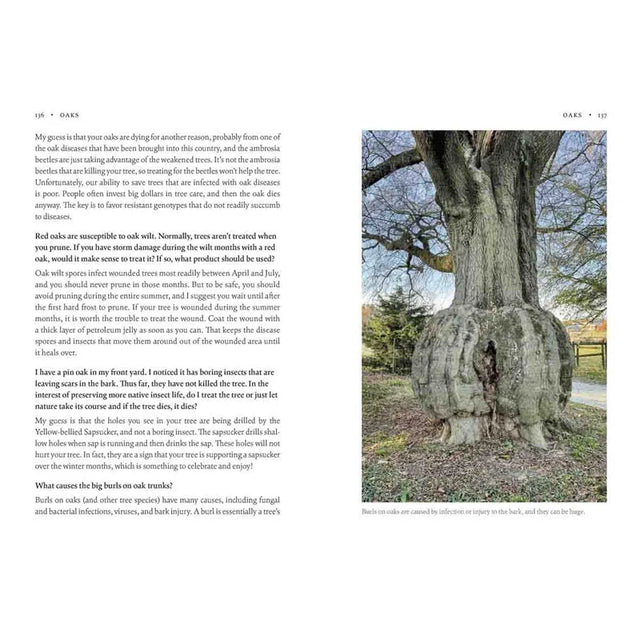 How Can I Help? Saving Nature with Your Yard 