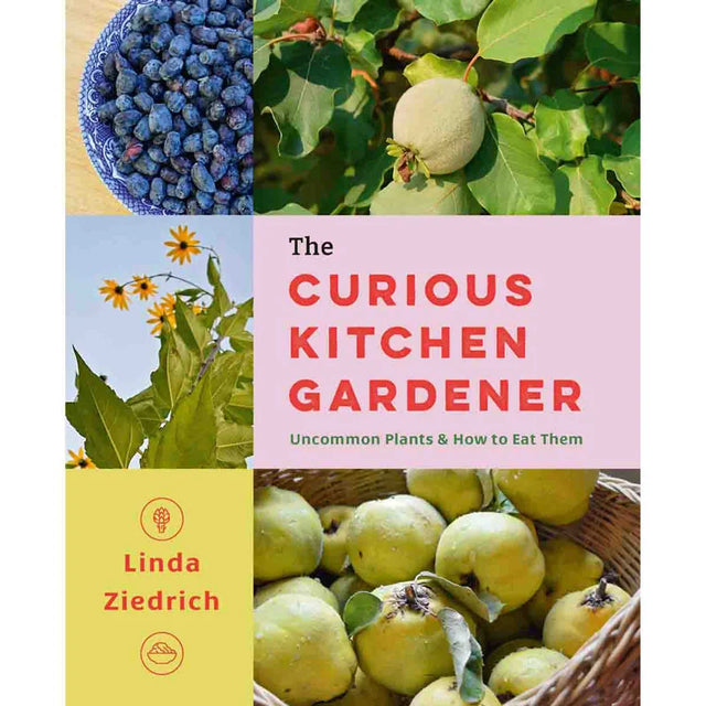 The Curious Kitchen Gardener 