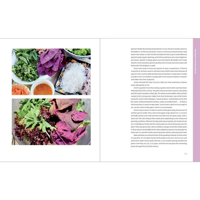 The Curious Kitchen Gardener 