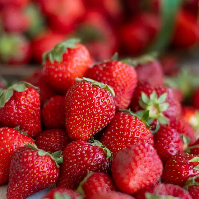 Magnum® Strawberry