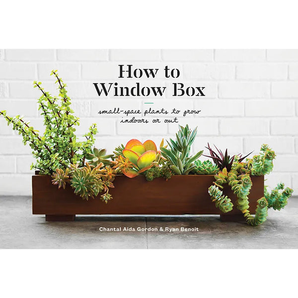 small indoor window plants How To Window Box: Small-Space Plants To Grow Indoors Or Out