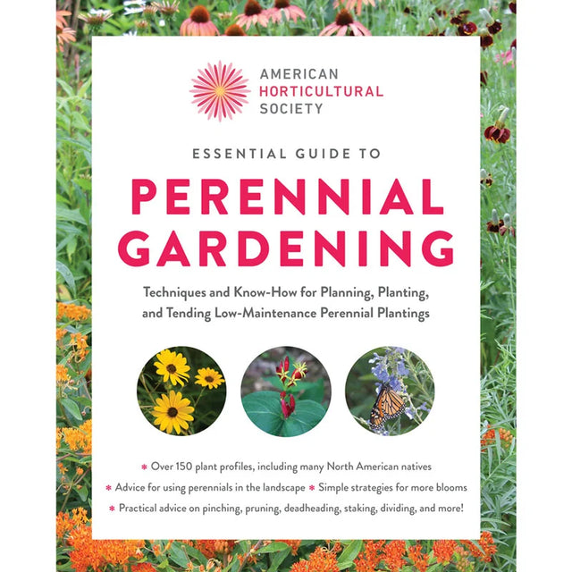 Essential Guide to Perennial Gardening 