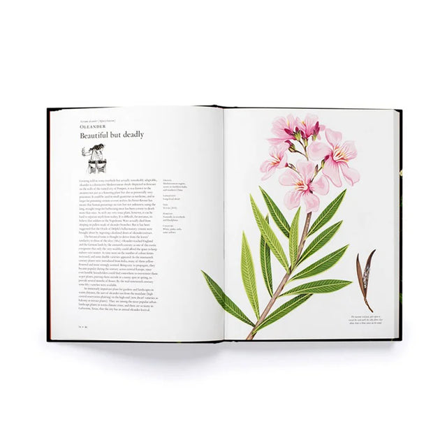 The Story of Flowers and How They Changed the Way We Live 