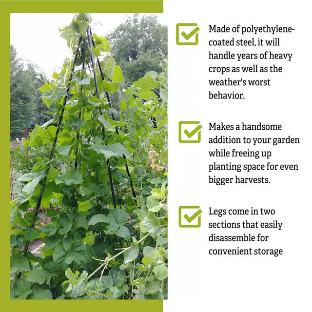 Titan Teepee Trellis