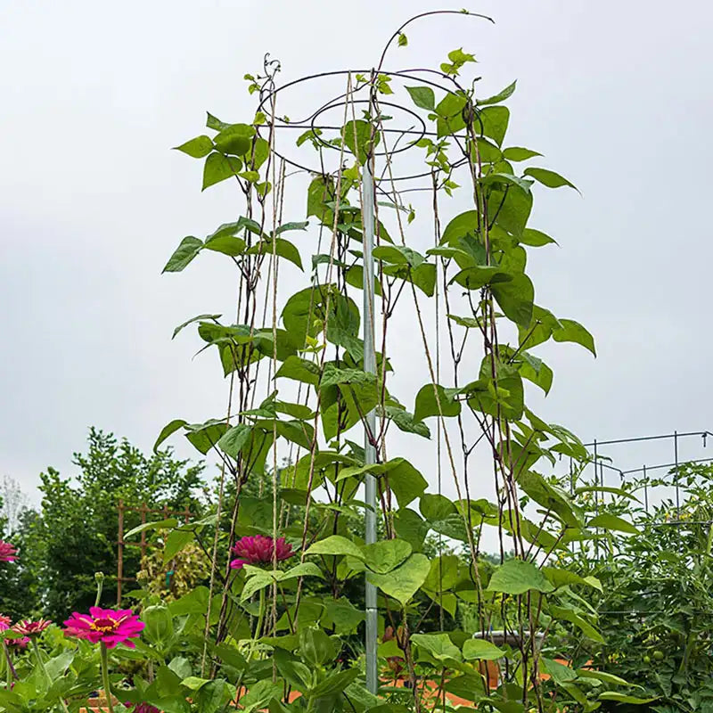 gurney's seed & nursery company bean tower plant trellis Bean Support Tower