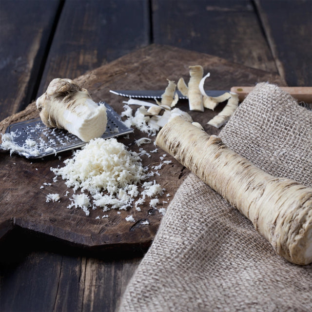 Hybrid Horseradish Roots