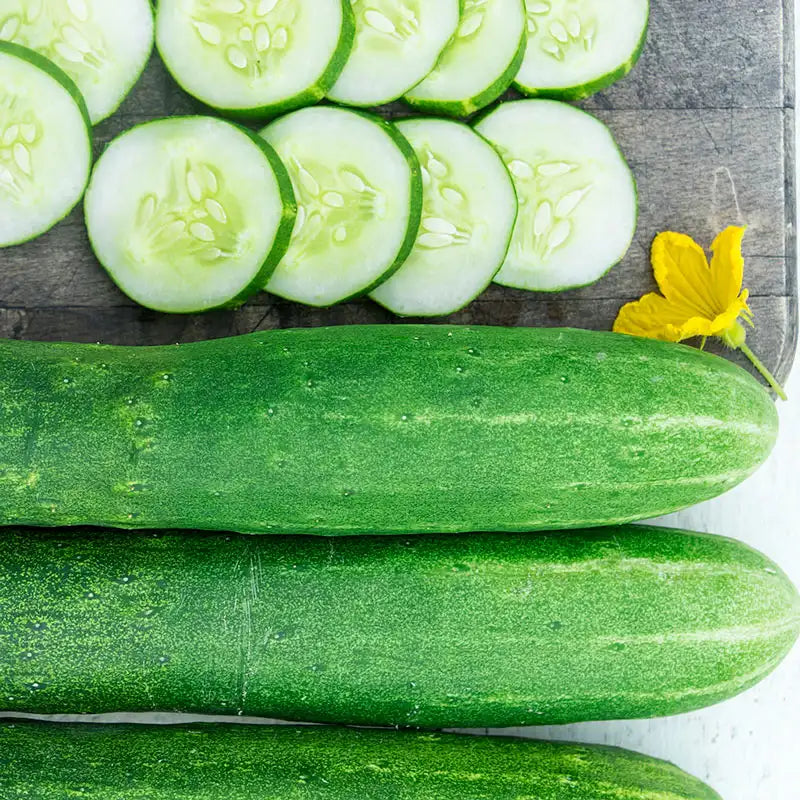 garden sweet burpless cucumber seeds Early Spring Burpless Hybrid Slicing Cucumber