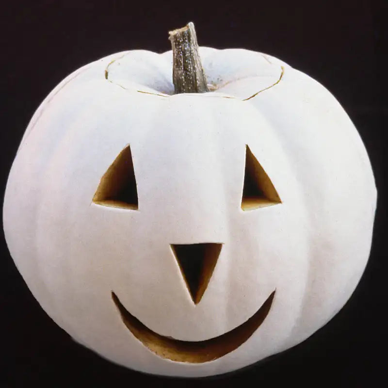 Lumina Pumpkin | Gurney's Seed & Nursery Co. Lumina Pumpkin | Gurney's Seed & Nursery Co.