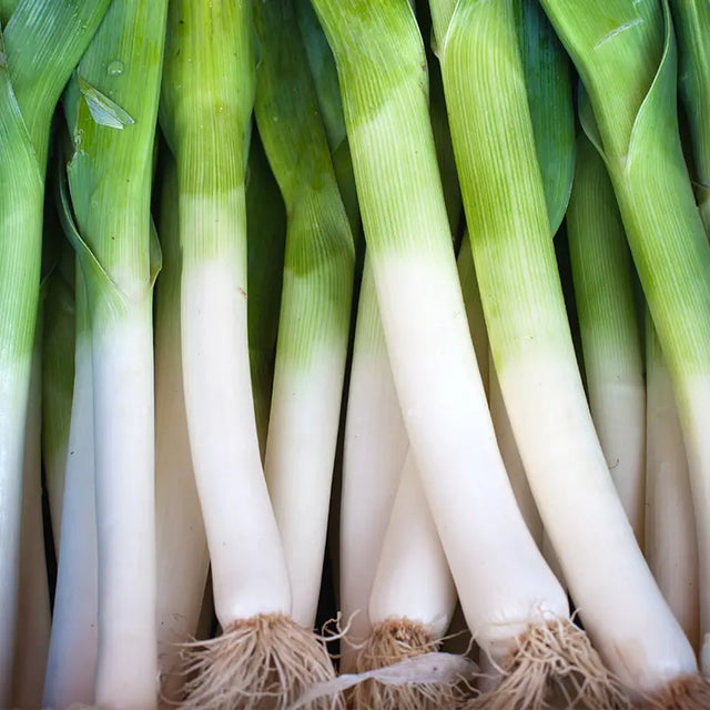 Norwich Leek
