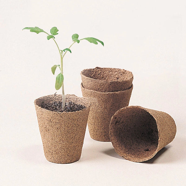 can you plant peat pots Round Peat Transplant Pots