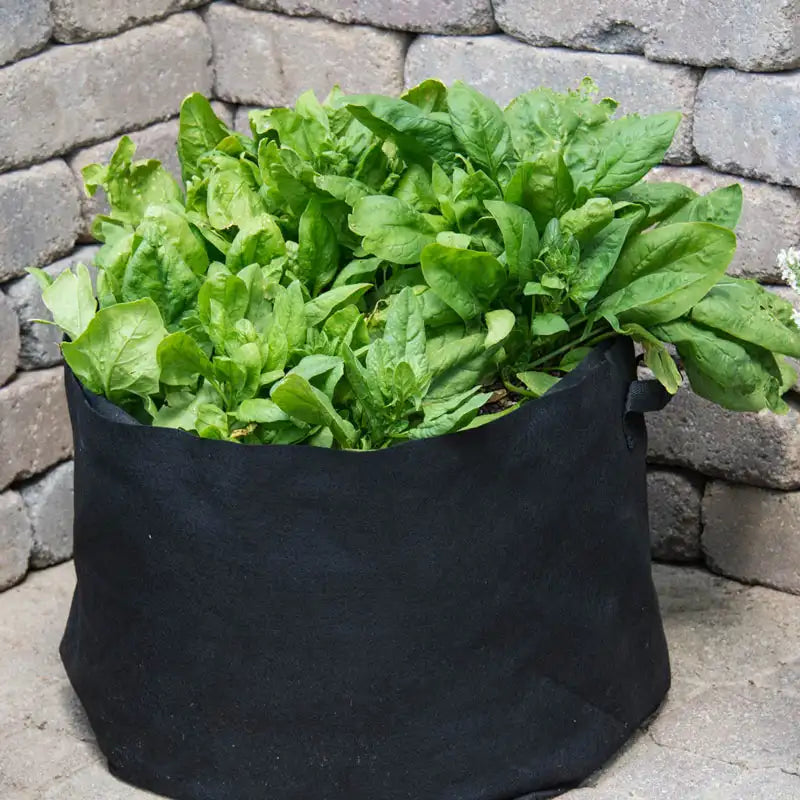 7 gallon plant pot Gardens Alive! 7 Gal. Tan Fabric Grow Tub Planter