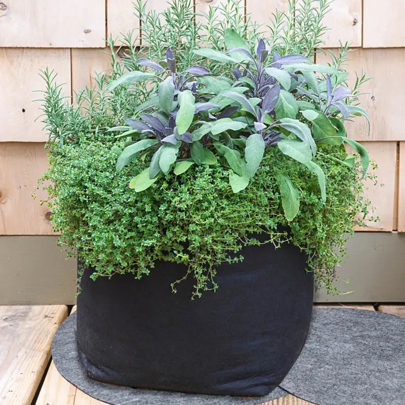 large plant pot containers Gardens Alive! 7 Gal. Tan Fabric Grow Tub Planter
