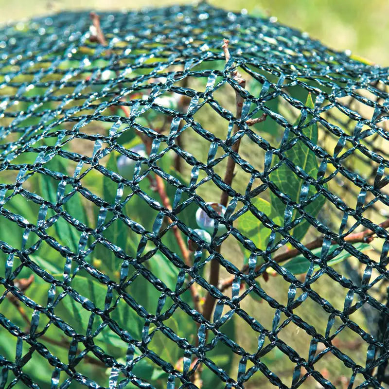 bird netting for hanging plants Premium Bird Netting - Plant Protection
