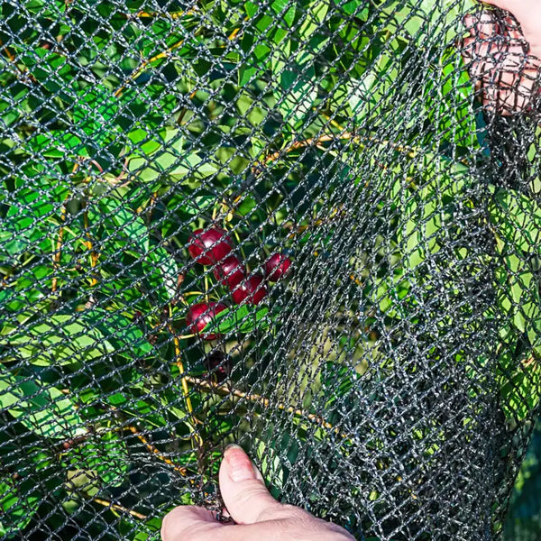 bird netting for potted plants Premium Bird Netting - Plant Protection