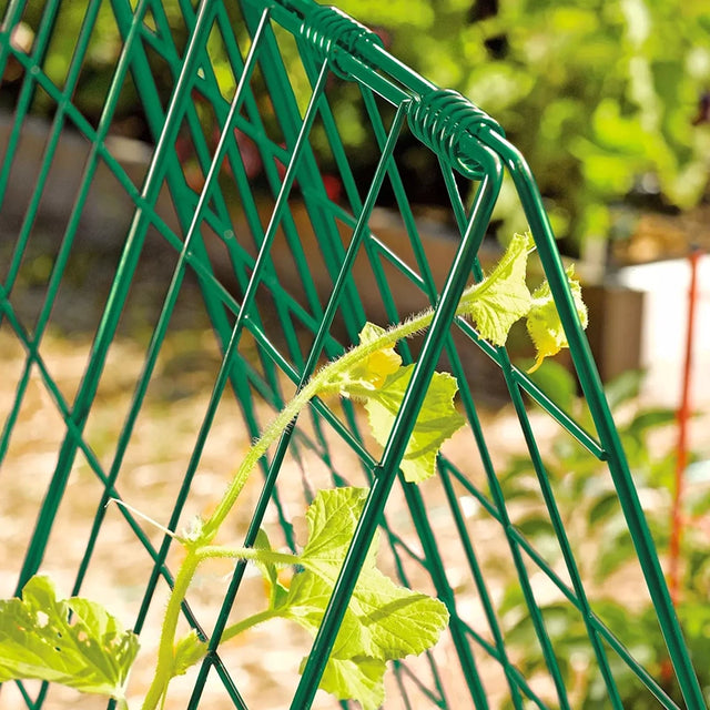 Deluxe Cucumber Trellis