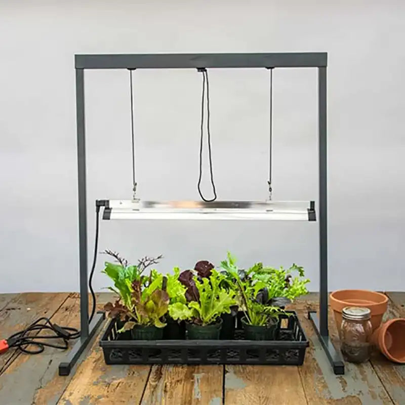 plant starter grow lights Grow Light - 1 Light Kit