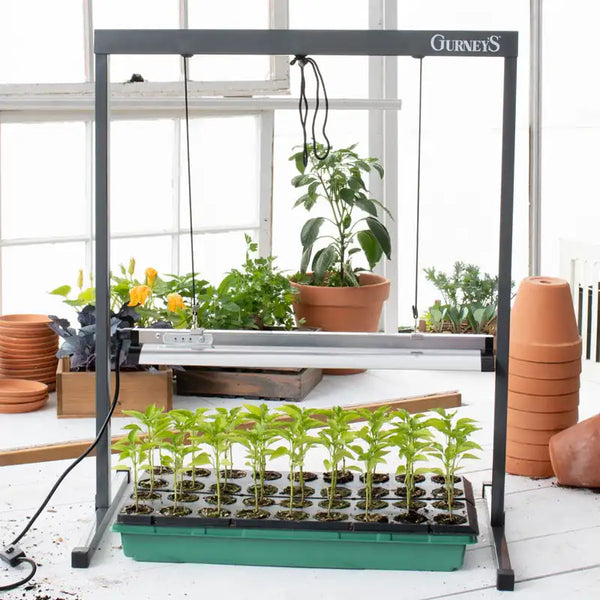 individual plant grow light Grow Light