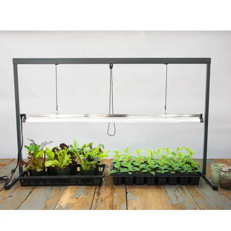 where to buy grow lights for plants Grow Light - 1 Light Kit