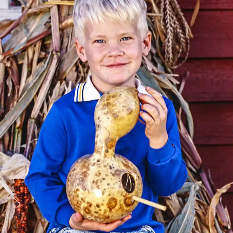 planting birdhouse gourd seeds Birdhouse Gourd Seed Packet: Gourd Seeds from Gurney's Seed & Nursery Co
