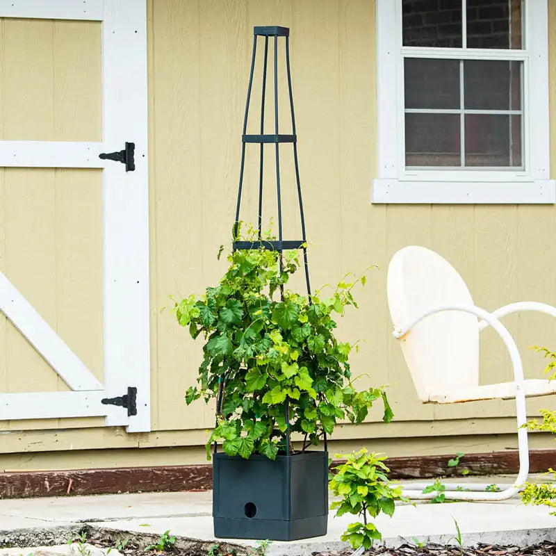 self watering plant tower Self Watering Plant Tower