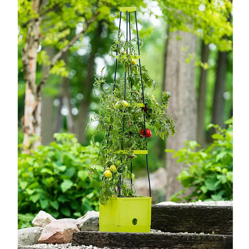 plant tower self watering Self Watering Plant Tower