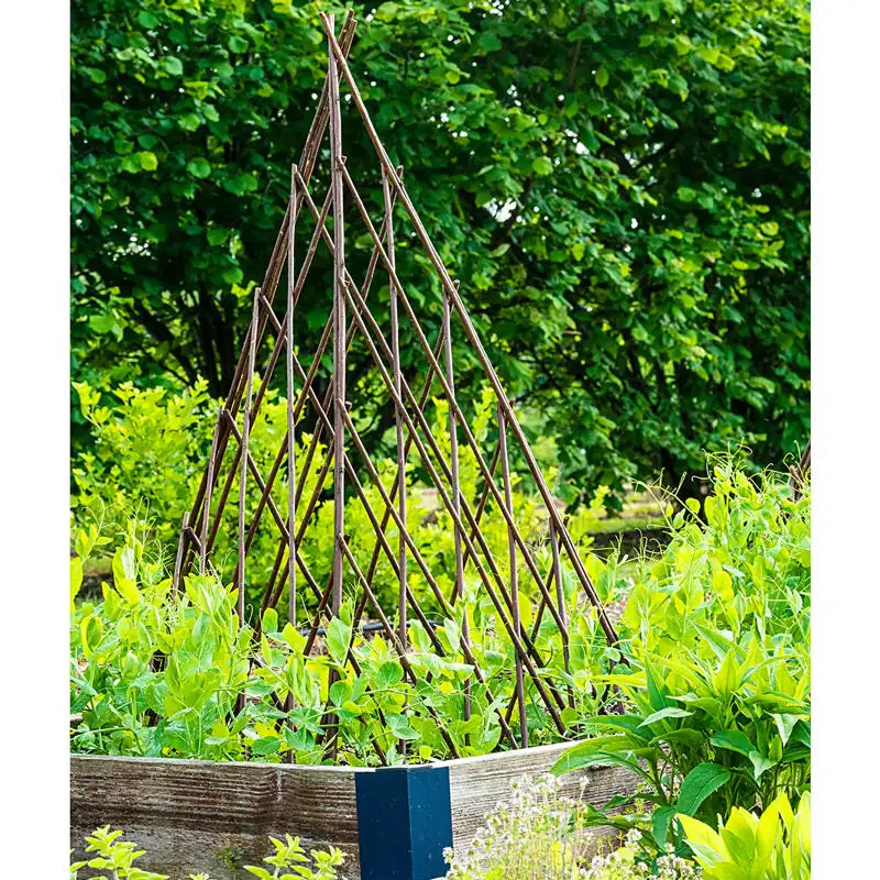 willow plant trellis Willow Teepee Plant Support