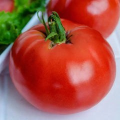 Tomato  Zapotec Oaxacan Ribbed Tomato – Mary's Heirloom Seeds