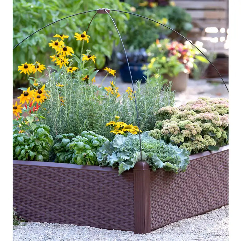 raised garden bed seeds Simple Solution Raised Bed
