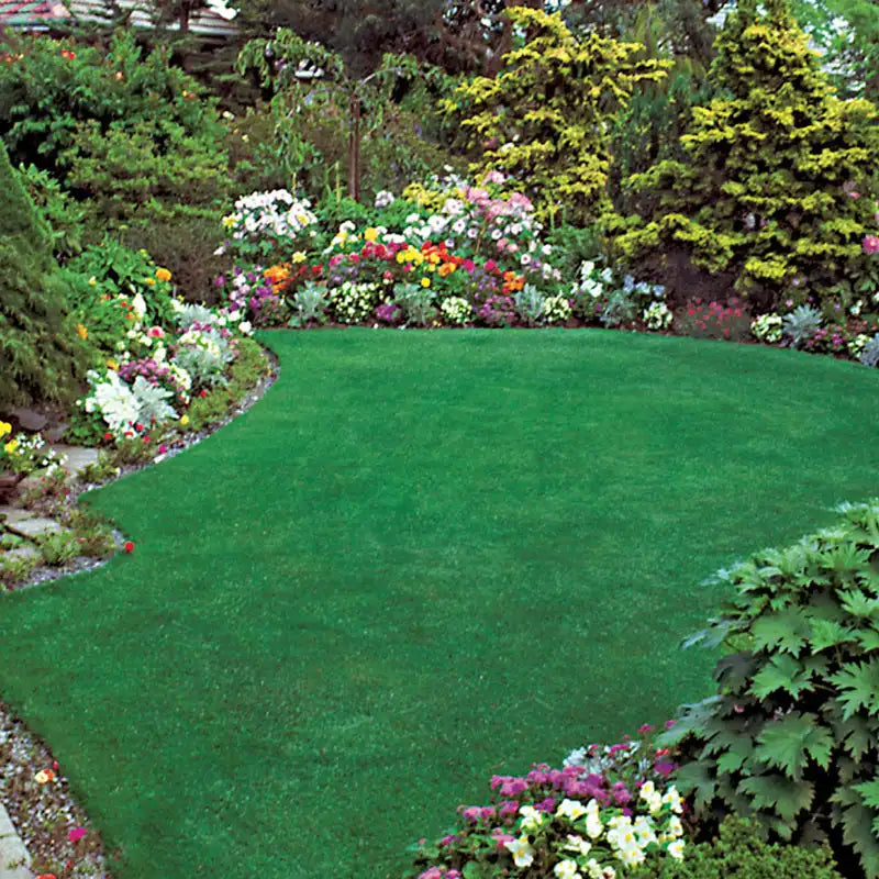 Quicklawn Grass Seed - Main Image