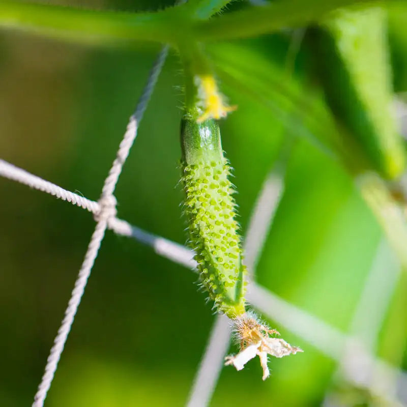 Gro-Nets Netting | Gurney's Seed & Nursery Co.