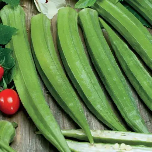 50+ Louisiana Longhorn Cowhorn Okra Seeds – Heirloom, Non-GMO, Fresh – Fast Shipping
