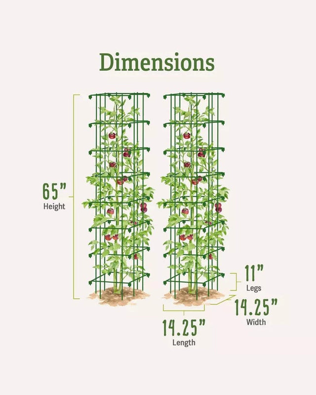 Extra-tall Tomato Cages - Set of 2