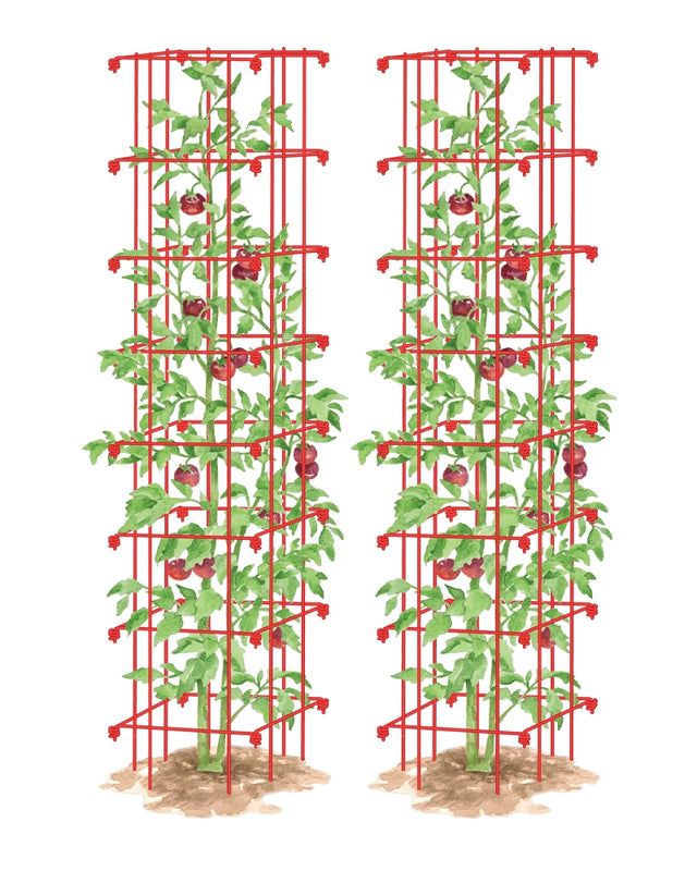 Extra-tall Tomato Cages - Set of 2