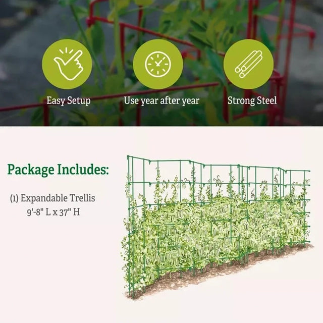 Expandable Pea Trellis