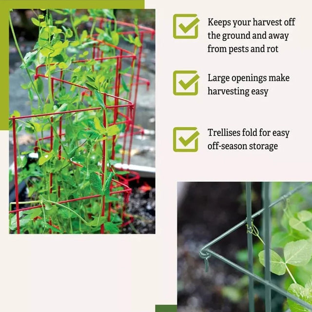 Expandable Pea Trellis