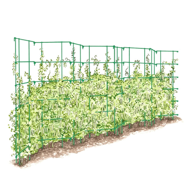 Expandable Pea Trellis