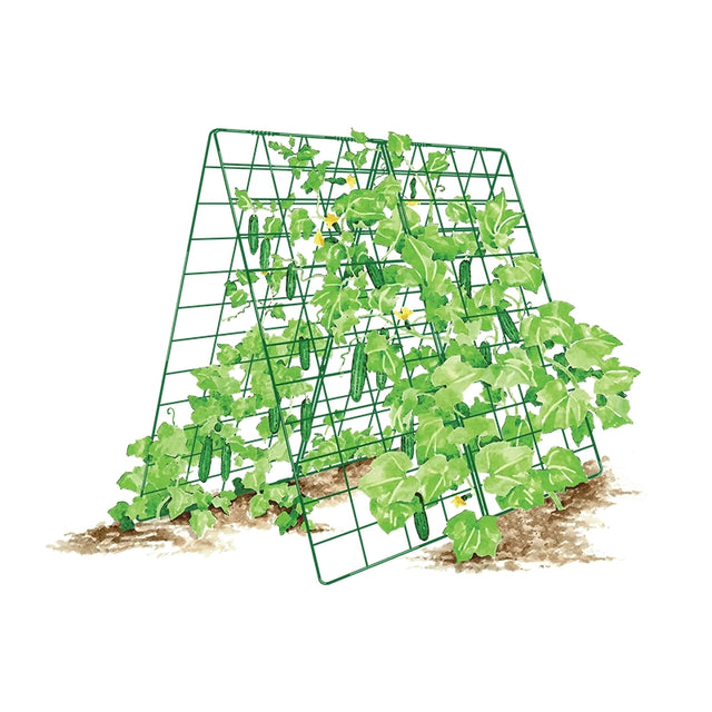 Deluxe Cucumber Trellis