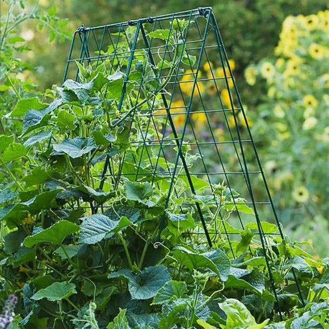 Deluxe Cucumber Trellis