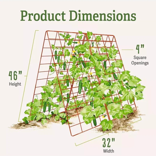 Deluxe Cucumber Trellis