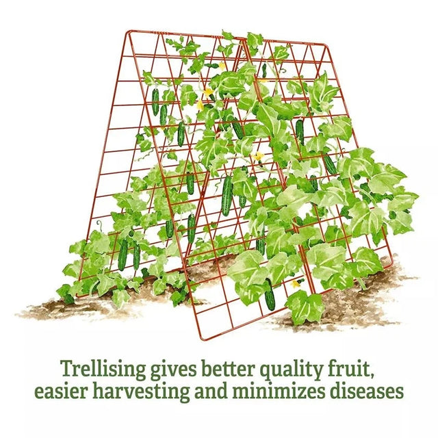 Deluxe Cucumber Trellis
