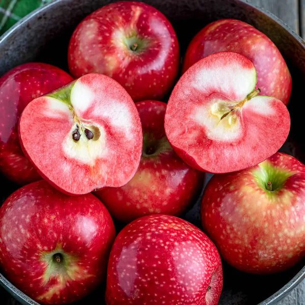rose apple tree seeds Lucy Rose Apple Tree - 5-6 ft (Qty- 1) | Malus domestica 'Lucy Rose'