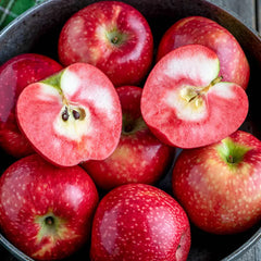 アップル”& Lucy™ Rose Apple Trees | Gurney's Seed & Nursery Co.