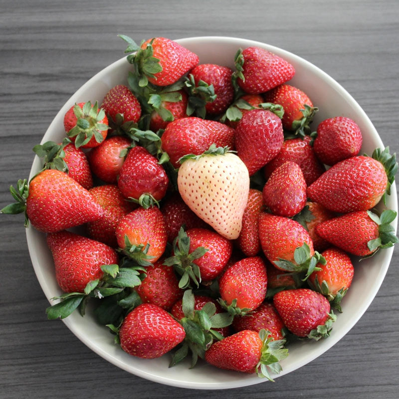 florida strawberry seeds Direct Gardening Florida Pearl Strawberry Potted Fruit Bearing Plants, 4-pack
