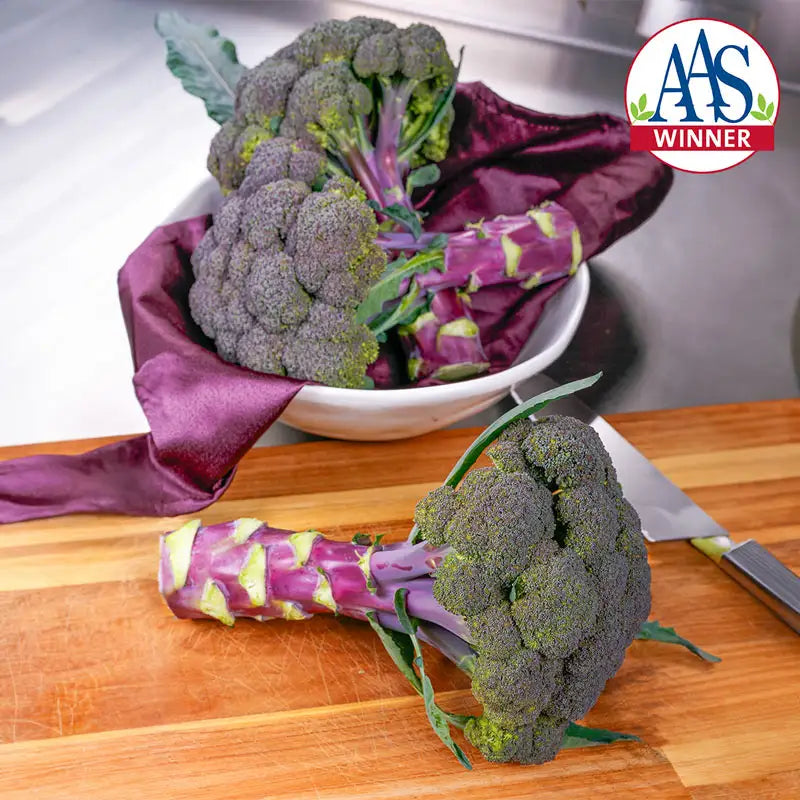 Broccoli Magic Shapoo Purple Magic Broccoli | Gurney's Seed & Nursery Co.