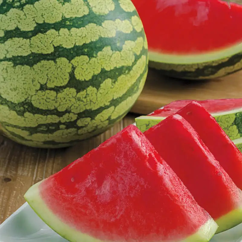 plant seedless watermelon seeds Gurney's Delight Improved Hybrid Watermelon