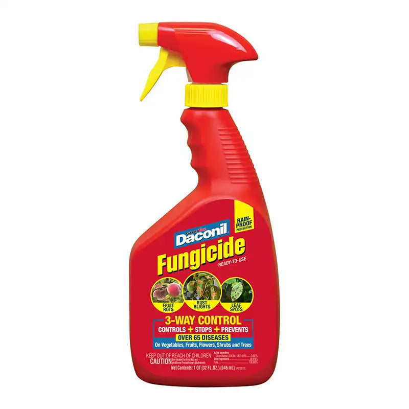 best fungicide for succulents Daconil 32 Oz. Ready-To-Use Fungicide