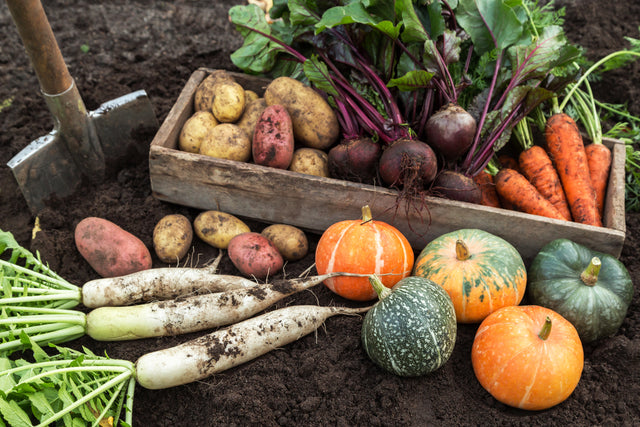 Maximize Harvests & Prep for Winter